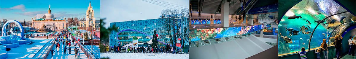 «Москвариум» на ВДНХ 